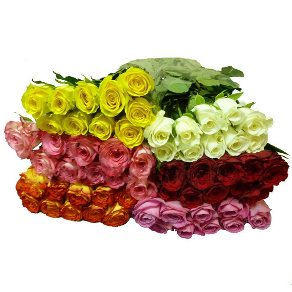 Roses